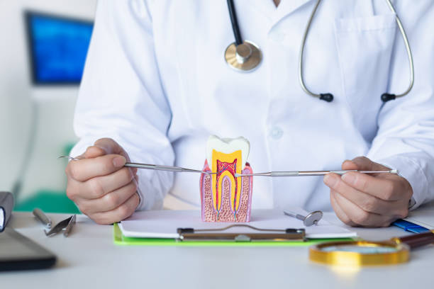 Best Emergency Dental Care for Trauma or Injury in Robertsville, NJ